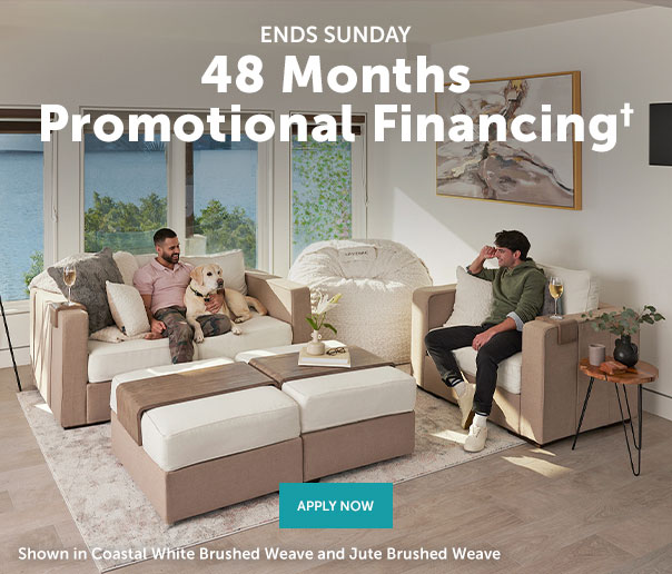 48 Months Promotional Financing ENDS SUNDAY! - Lovesac