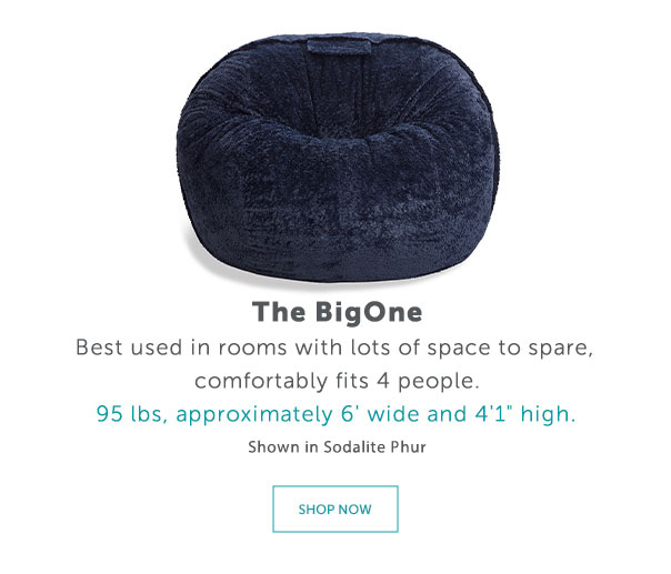 The BigOne | SHOP NOW >>