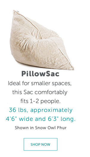 PillowSac | SHOP NOW >>