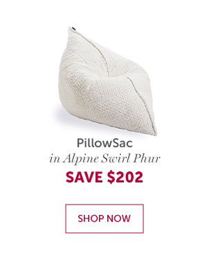 PillowSac | SHOP NOW >>