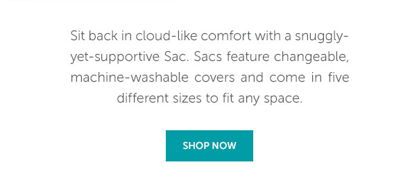 Sit back in cloud-like comfort with a snuggly yet supportive Sac. Sacs feature changeable, machine-washable covers and come in five different sizes to fit any space. | SHOP NOW >>