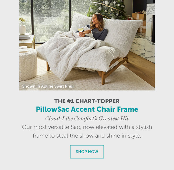 PillowSac Accent Chair Frame | SHOP NOW >>