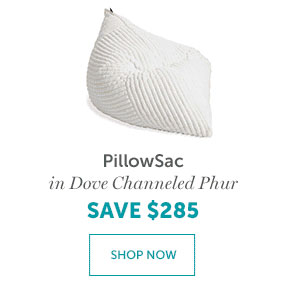 PillowSac | SHOP NOW >> >>