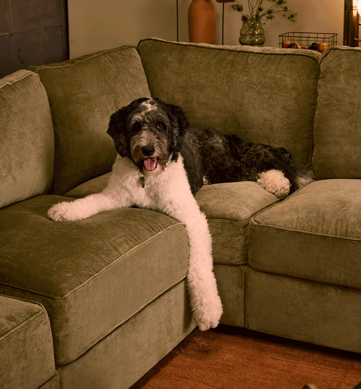 Flash Sale | 40% Off Seating | SHOP NOW >>